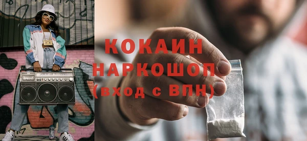 стаф Алзамай