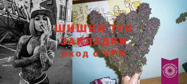 стаф Алзамай