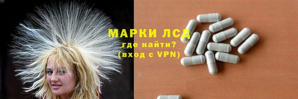 стаф Алзамай