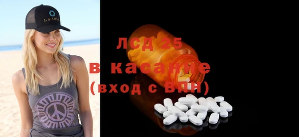 стаф Алзамай
