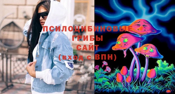 стаф Алзамай