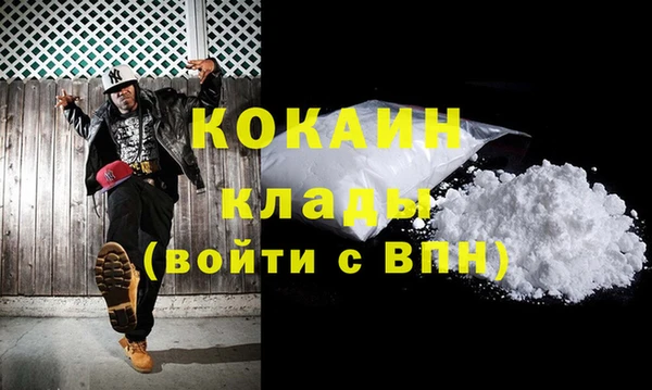 стаф Алзамай