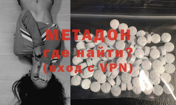стаф Алзамай