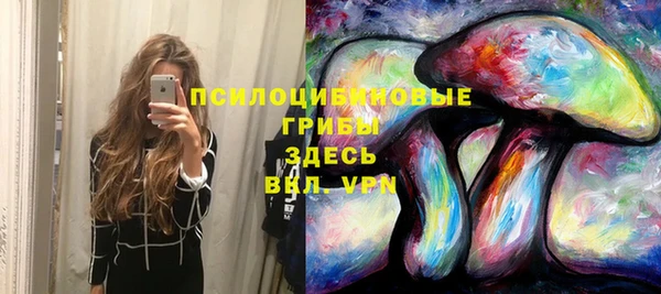 стаф Алзамай