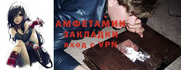 стаф Алзамай